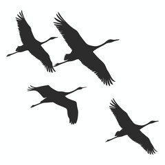 Four Cranes in Flight Silhouette