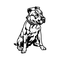 American Staffordshire Terrier Dog Breed - Pet Vector Cut file, Dog Silhouette Stencil - Cricut file