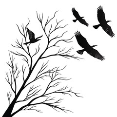 Silhouette of Birds in Flight Near a Bare Tree Branch