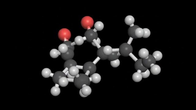 3D Model of a Complex Organic Molecule