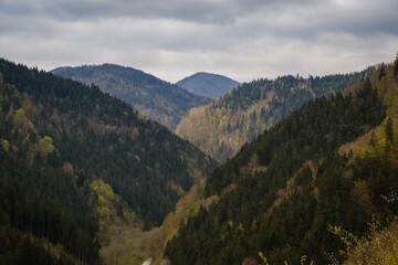 Early spring hills in Slovenia