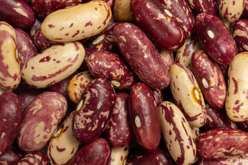 multicolored homegrown delicious kidney beans