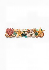 Seaside Wonders Alphabet Typeface made of Seashells Starfish and other Ocean Treasures the character dash