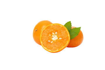 PNG, orange and mint leaves, front view