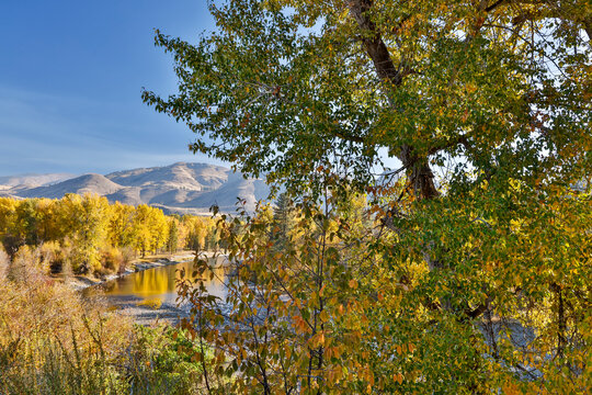 USA, Washington State. Autumn colors along the Methow River near Winthrop