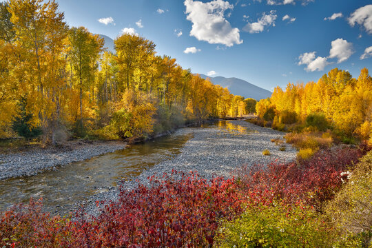 USA, Washington State. Autumn colors along the Methow River near Winthrop