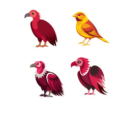 collection of birds