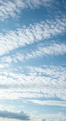 Blue sky filled with a multitude of cotton-like clouds on a sunny day
