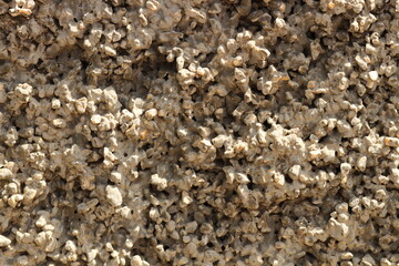 close up of stone wall