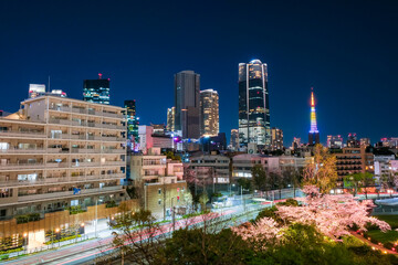 Naklejka premium 東京都港区 六本木から見る春の東京の高層ビル群 夜景