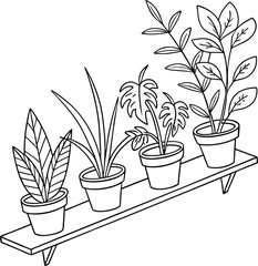 vector illustration of a plant