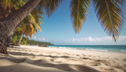 Obraz premium tropical beach with palm trees background with copy space. Generated Image