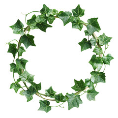 Fototapeta premium Gingerbread Ivy Circle on Transparent png