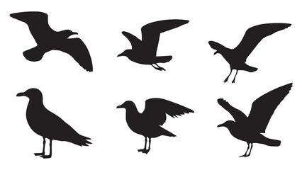 Seagull Silhouettes Vector Images