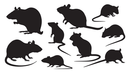 Rats Silhouettes Images  Vectors