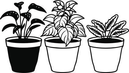 vector illustration of a plant