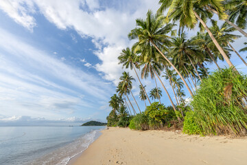 Tropical beach with palm trees, Koh Samui island, Thailand