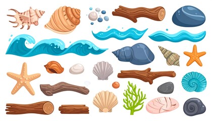 Ocean Waves with Shells, and Driftwood.