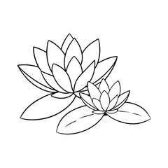 lotus flower isolated on white background