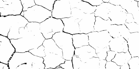 Obraz premium Dust or old grunge concrete building damaged grunge wall black and white texture effect white background.