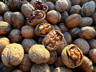 Walnuts nuts.