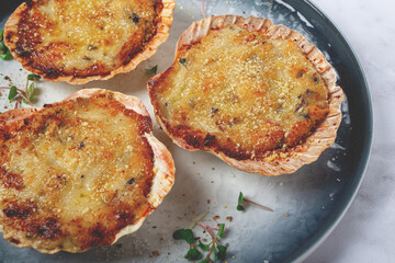 scallop shells, stuffed, baked with cheese, in the oven, julienne with scallops,