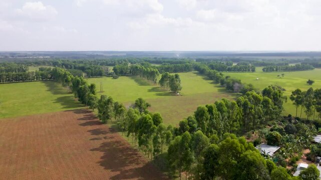 Bosque en tierras colombianas 4K