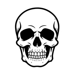 Fototapeta premium Halloween skull graphic design element. Detailed human skull illustration perfect for spooky season projects. This detailed skull image is ideal for Halloween invitations, posters, and themed merchand