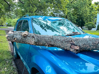 A fallen tree branch damages a vehicle parked on the street. The windshield is smashed and the body...