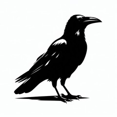 Fototapeta premium Crow Silhouette