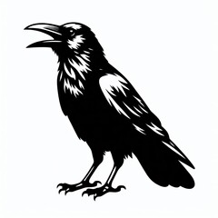 Obraz premium Crow Silhouette