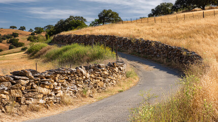Rustic Hand-stacked Stone Wall Bordering Winding Country Road with Golden Grass Fields and Scattered Oak Trees