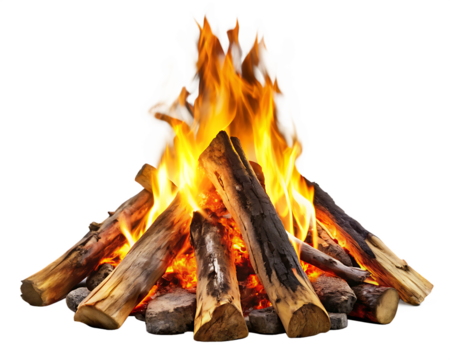 campfire isolated on white background, PNG