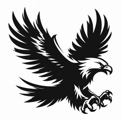 Obraz premium eagle Silhouette