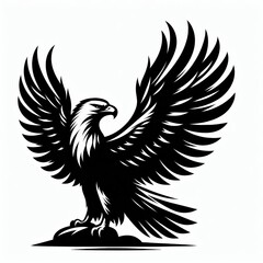 Fototapeta premium eagle Silhouette