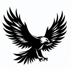 Obraz premium eagle Silhouette