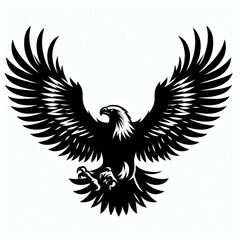 Obraz premium eagle Silhouette