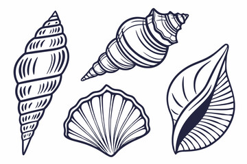 Shells