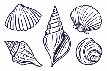 Shells