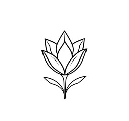 Elegant Floral Monochromatic Art: A refined black and white illustration showcases a meticulously detailed and aesthetically pleasing tulip flower.