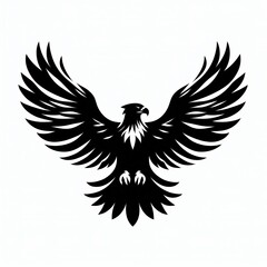 Fototapeta premium eagle Silhouette
