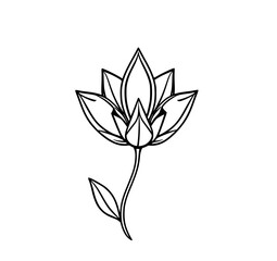 Obraz premium Exquisite Floral Monochromatic Sketch: A delicate hand-drawn sketch of a solitary, pristine flower, showcasing the elegance and intricate details of nature in elegant lines.