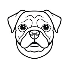 pug dog portrait