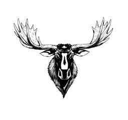 Majestic Moose: A striking monochrome illustration of a moose, showcasing its impressive antlers and commanding presence.