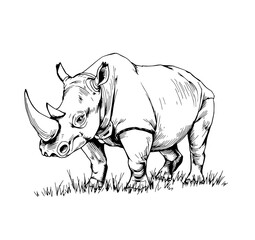 Fototapeta premium Robust Rhino: A majestic rhinoceros, rendered in monochrome, strides purposefully across a sparse grassy patch, its massive horn a testament to its power. 