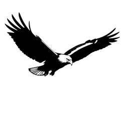 Obraz premium Eagle in Flight Silhouette: A majestic eagle soars against a background, its wings spread wide in a powerful silhouette of freedom and strength.