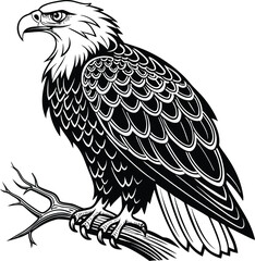 Colorful Abstract Design with Geometric Shapes and Lines