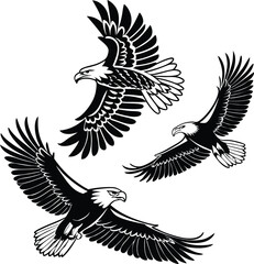 Fototapeta premium The Majestic Power of the Bald Eagle