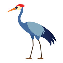 Elegant blue crane bird illustration graceful standing position artistic wildlife vector