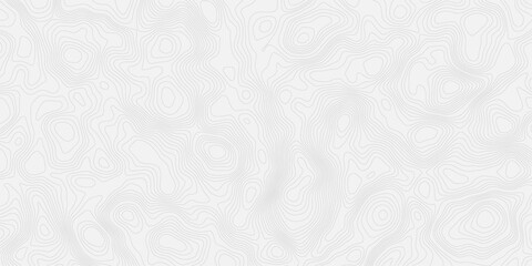 topographic modern white texture with subtle swirls and contour wavey lines, creating a soft and elegant background effect. Ideal for adding a touch of sophistication to designs.
